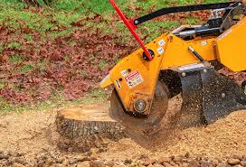 Best Grass Overseeding  in Blair, WI
